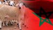 هذا موعد عيد الأضحى المبارك بالمغرب لسنة 1446هـ/2025