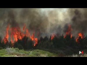 ‫اندلاع حريق بمنطقة مديونة الغابوية بطنجة‬‎