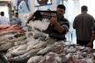 غلاء أسعار السمك يخيم على الاسواق المغربية مع بداية شهر رمضان مكناس نموذجا