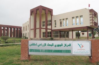 المركز الجهوي للبحث الزراعي بمكناس ينشر حصيلة منشوراته العلمية خلال سنة 2025