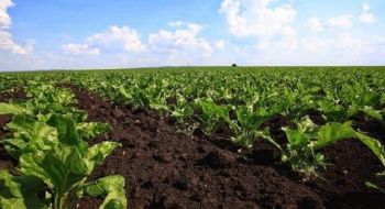 ابتداء من اليوم الأحد.. ترقب طقس معتدل وانفراج واسع في الأجواء